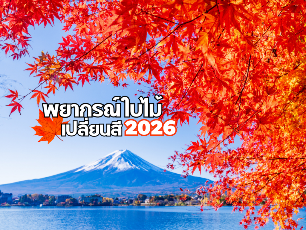 อัพเดทพยากรณ์ช่วงเวลาที่ดีที่สุดในการชมใบไม้เปลี่ยนสีญี่ปุ่น ประจำปี 2026